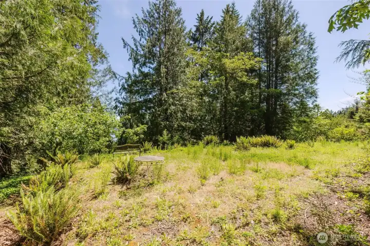 The upper lot backs to 30 acres owned by Silverdale Water, creating an added sense of privacy and peaceful natural surroundings. Follow the trail from the home to this spacious area with plenty of room for outdoor activities, gardening, entertaining, or possible future expansion with water already installed. The upper lot backs to 30 acres owned by Silverdale Water, creating an added sense of privacy and peaceful natural surroundings. Follow the trail from the home to this spacious area with plenty of room for outdoor activities, gardening, entertaining, or possible future expansion with water already installed.