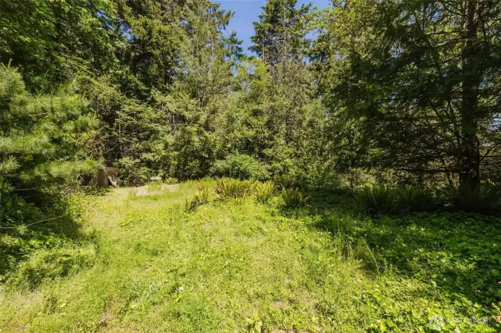 The upper lot backs to 30 acres owned by Silverdale Water, creating an added sense of privacy and peaceful natural surroundings. Follow the trail from the home to this spacious area with plenty of room for outdoor activities, gardening, entertaining, or possible future expansion with water already installed. The upper lot backs to 30 acres owned by Silverdale Water, creating an added sense of privacy and peaceful natural surroundings. Follow the trail from the home to this spacious area with plenty of room for outdoor activities, gardening, entertaining, or possible future expansion with water already installed.