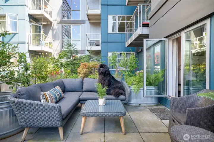 Patio living at its best! Pet-friendly HOA Patio living at its best! Pet-friendly HOA
