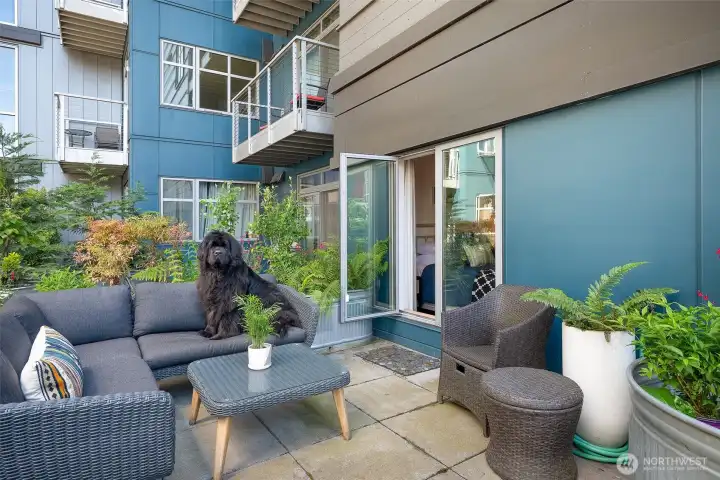 Patio living at its best! Pet-friendly HOA