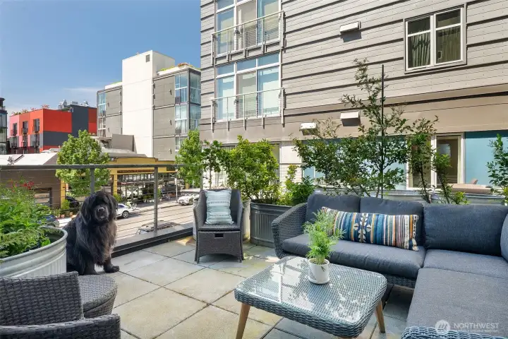 City views with your best friend - we got that!