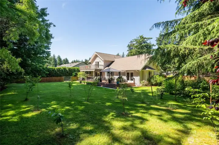 Fully fenced backyard with fruit trees.
