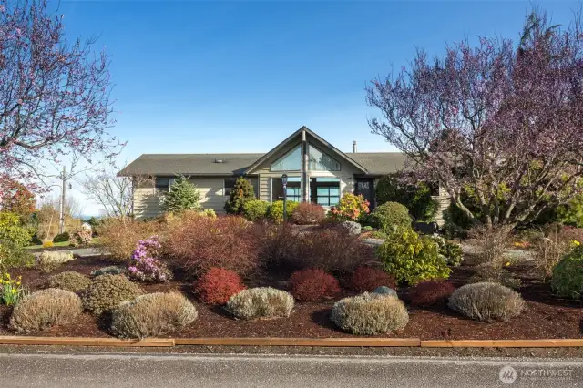 landscaped front