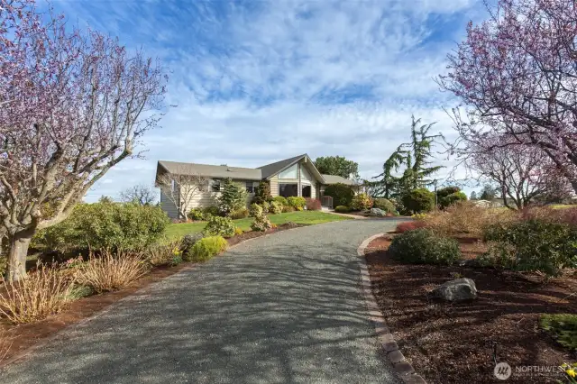 through driveway