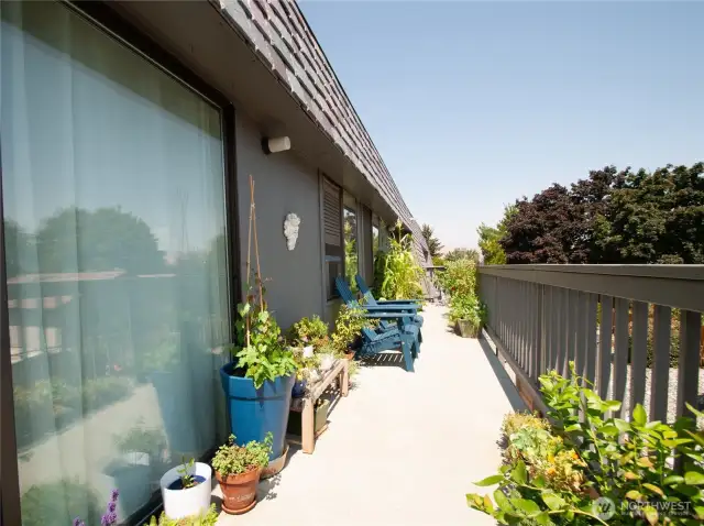 Back Deck