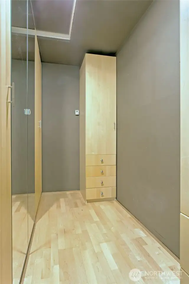 walk in closet in primary suite