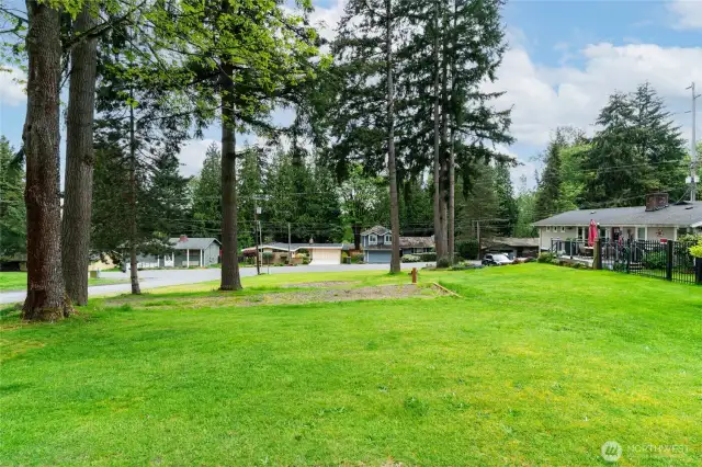 Partially cleared for easy building, two trees have been approved for removal and will be taken down mid-May