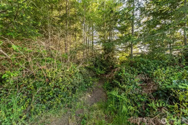 Trail to Lot 3