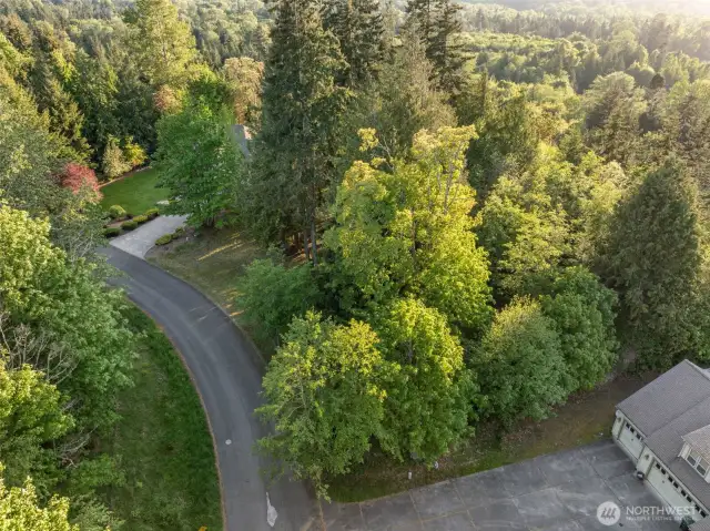 Aerial View of Lot 2 and Lot 3