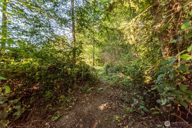 Trail Access to Lot 3