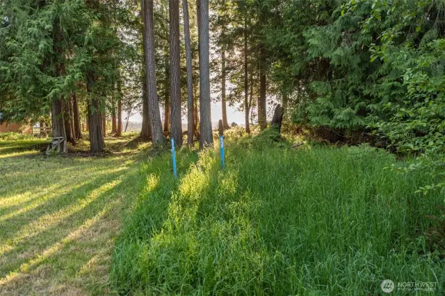 Water Lines