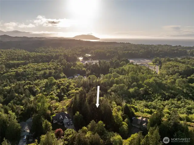Aerial View overlooking Elwha River Valley