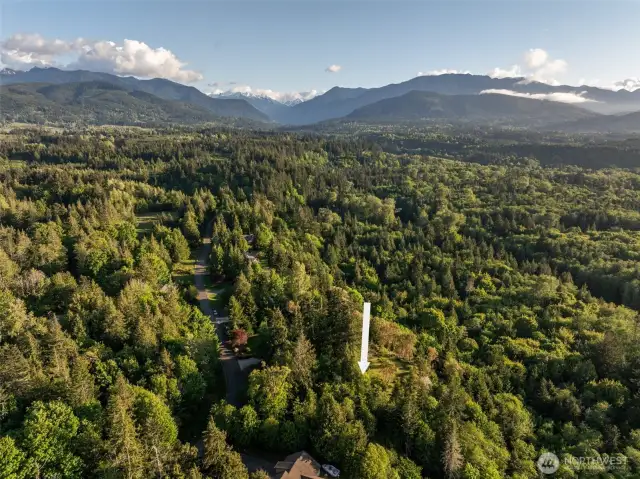 Aerial View Taken from the North