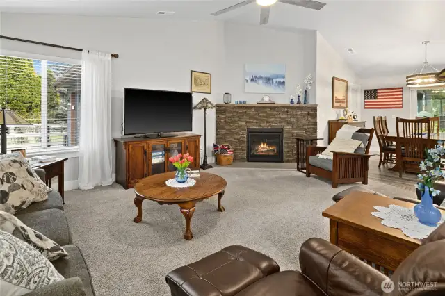 Propane fireplace adds ambiance and supplements the forced air heating and cooling system (heat pump).