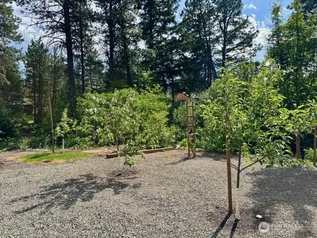 Fruit Trees