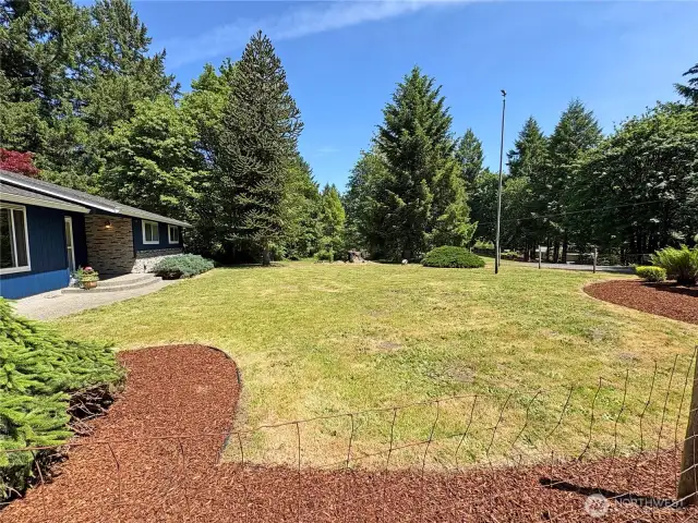Front yard