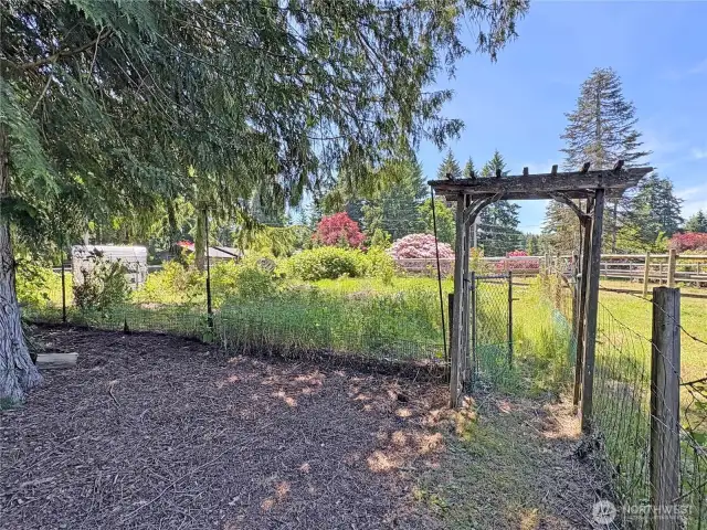 Fenced garden space