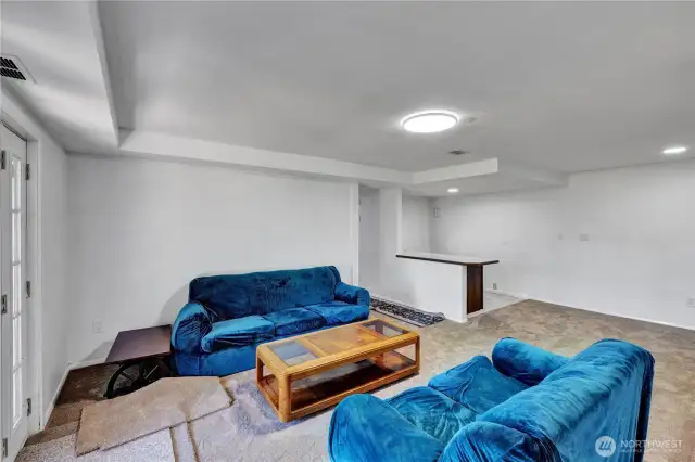 Lower level living area.