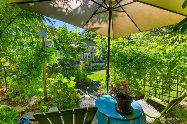 View from garden seating