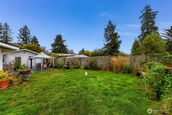 Fenced backyard