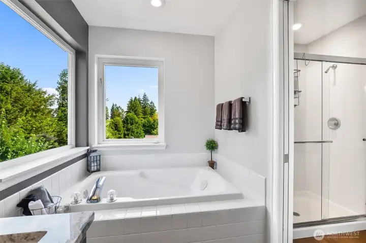 Spa-like five piece bath.