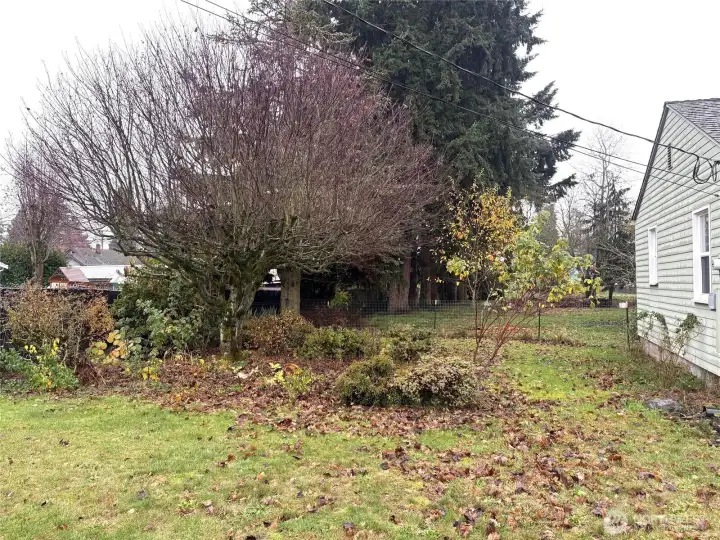 This is a close-up photo of the site. Note the gentle slope from the rear to the front. This topography is excellent for storm water tightline to a street if designed and approved.