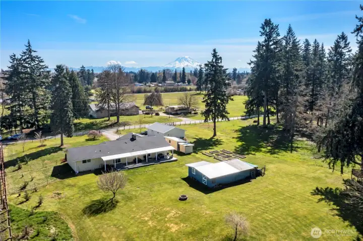 Mountain view from yard