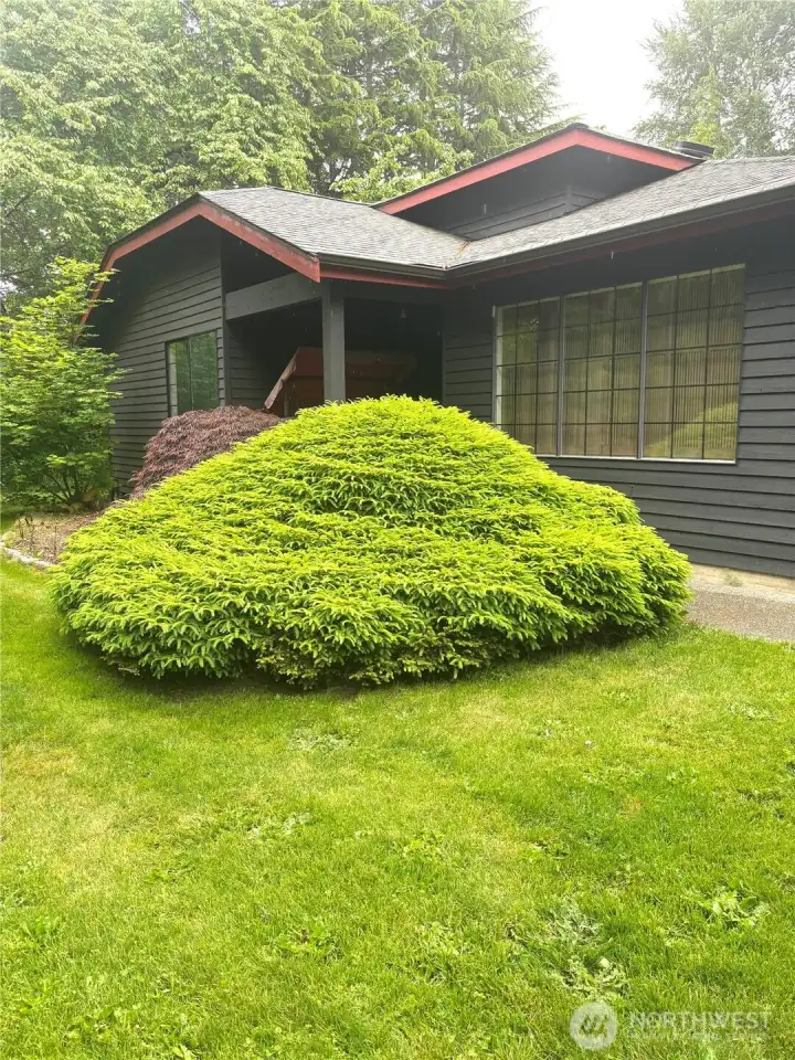 Landscaping