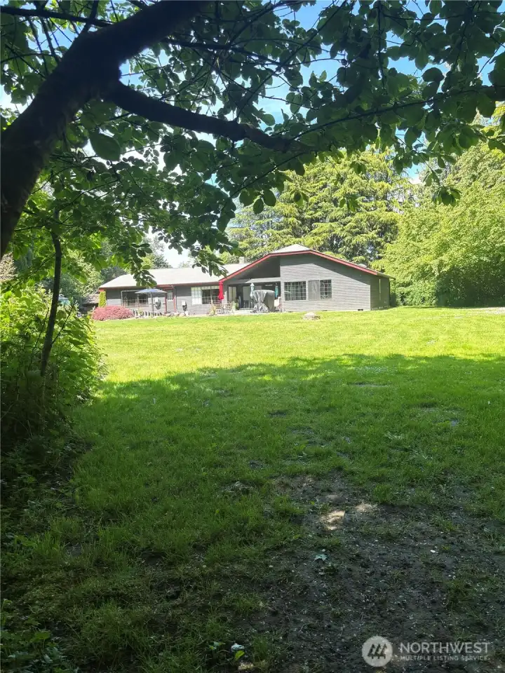 Large Back yard