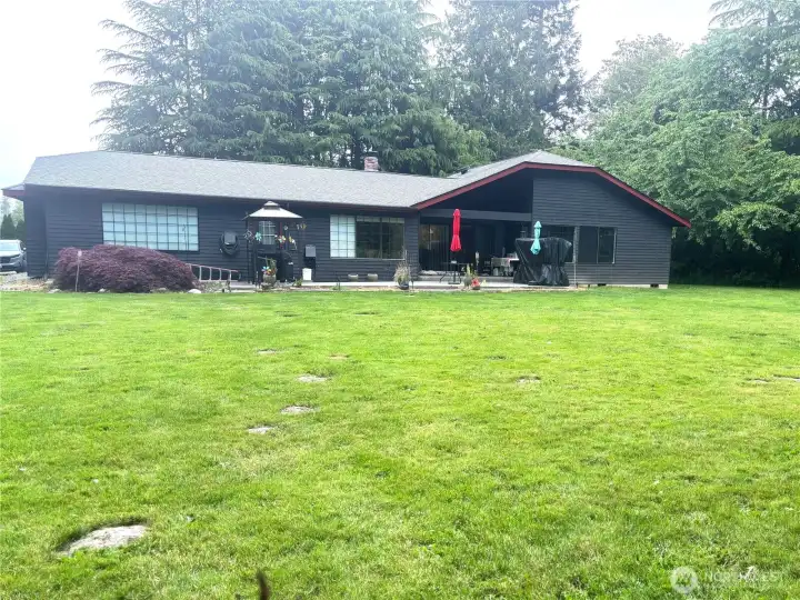 Back yard