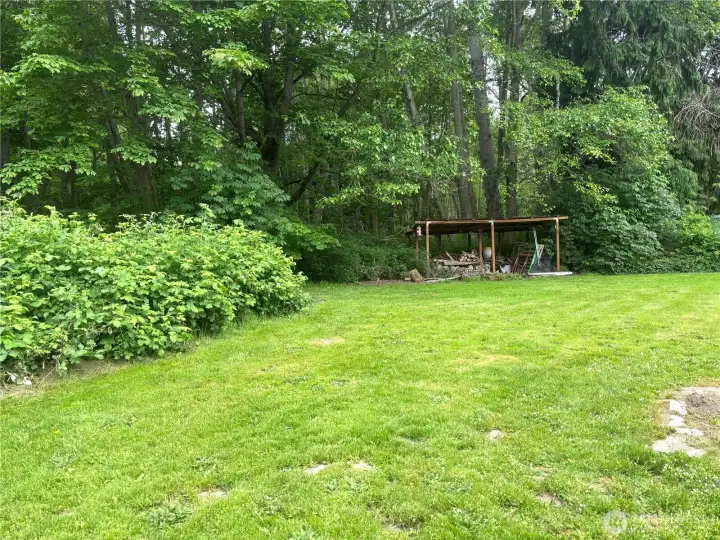 Wide open yard