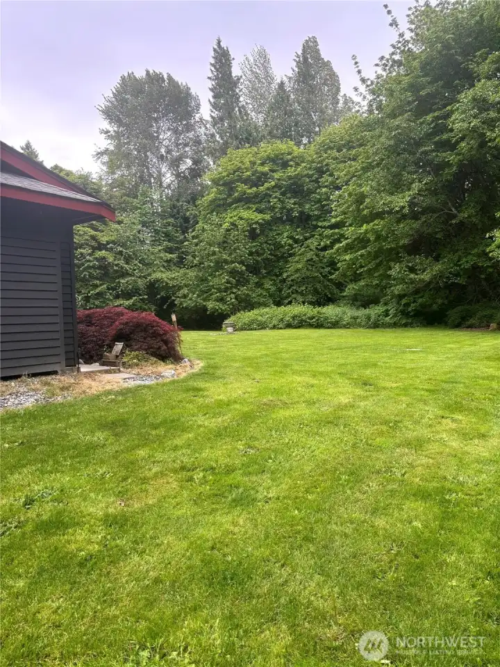 Side yard