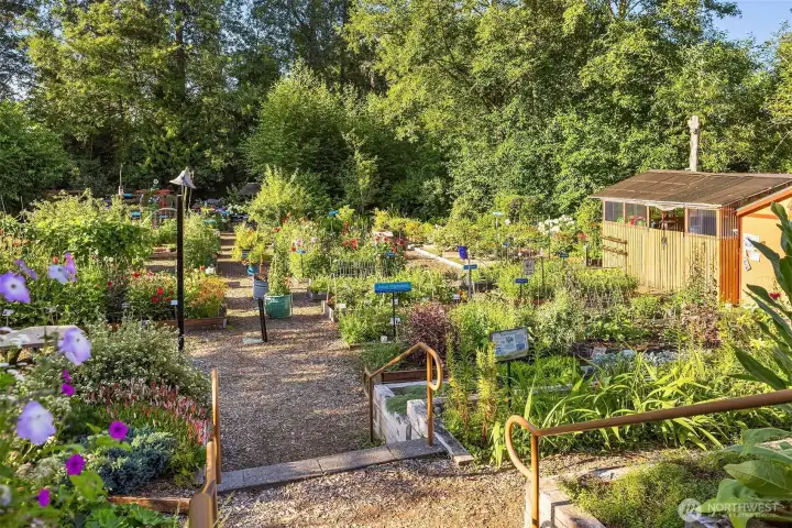 Robinswood Community Garden, steps from the neighborhood. Raised beds, seasonal plantings, and a greenhouse maintained by residents who take pride in where they live. A rare amenity that reflects the character of the community around it.