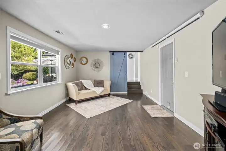 Lower Level Living Space