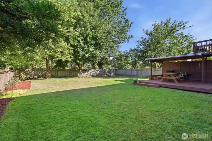 Large fenced backyard Large fenced backyard