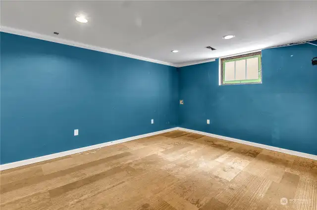 Basement bonus room 2