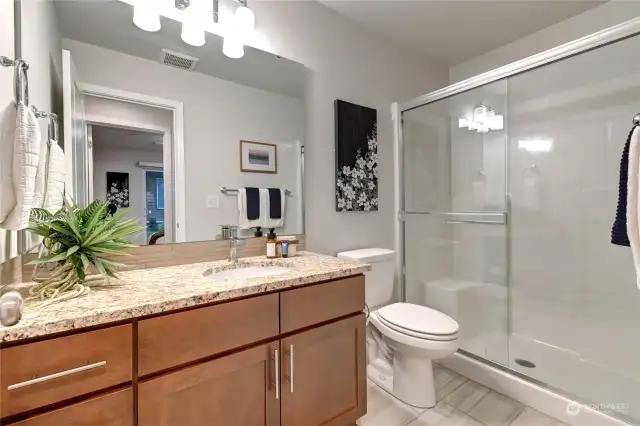 Bathroom on lower level.