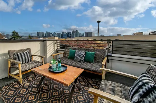 Rooftop deck with screen deck door has great privacy, a green roof for the bees, extra storage, and space needle views.