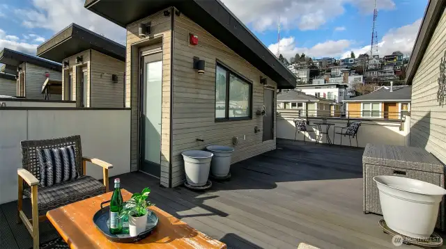 Rooftop deck with screen deck door has great privacy, a green roof for the bees, extra storage, and Queen Anne and Space Needle views.