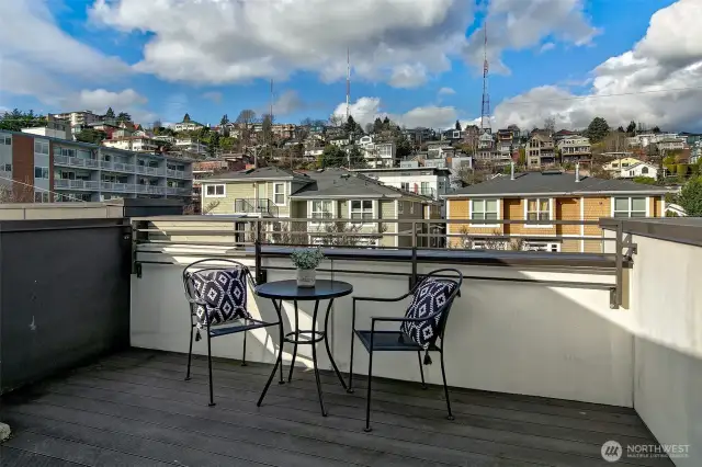 Rooftop deck with screen deck door has great privacy, a green roof for the bees, extra storage, and Queen Anne and Space Needle views.