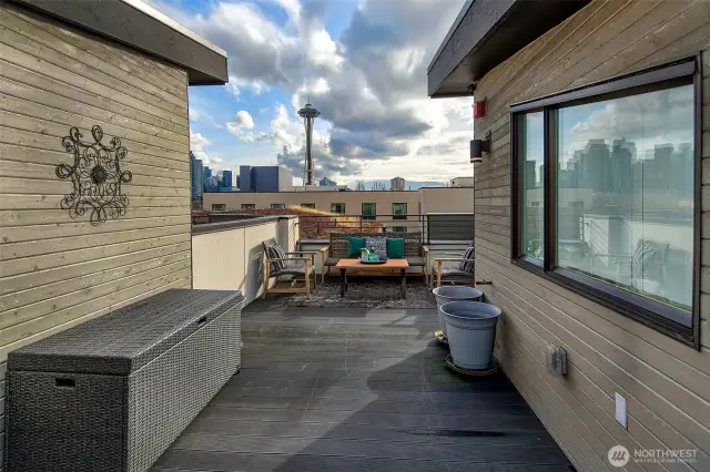 Rooftop deck with screen deck door has great privacy, a green roof for the bees, extra storage, and space needle views.