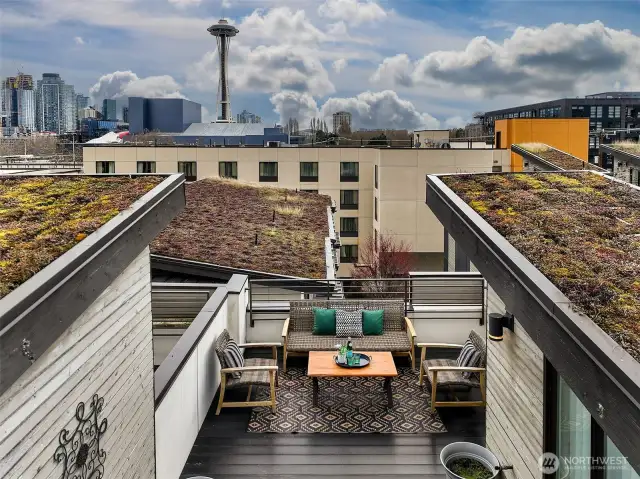 Rooftop deck with screen deck door has great privacy, a green roof for the bees, extra storage, and space needle views.