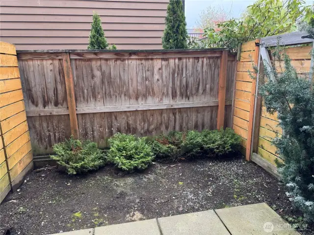 Backyard