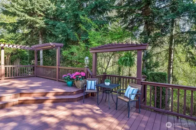 Expansive backyard deck for entertainment! Backs up to private greenbelt.