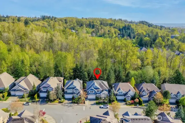 Beautifully detailed and largest home at The Pointe at aproximately 3,237 sq.ft. with a oversized 3 car tandem garage. This Model Home backs to private protected greenbelt area.