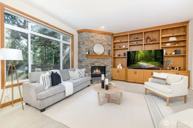 Custom built in entertainment/book shelves