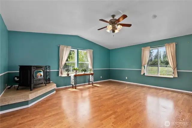 Pellet stove in family room