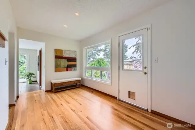 Huge new windows and skylights