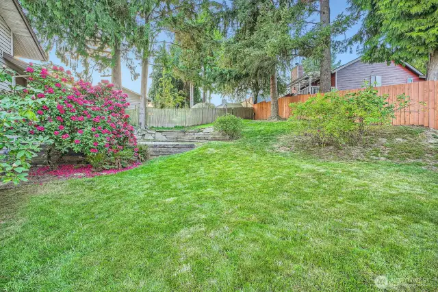 View from green house of upper patio and between the rhododendrons is a small patio outside the lower level sliding glass door.