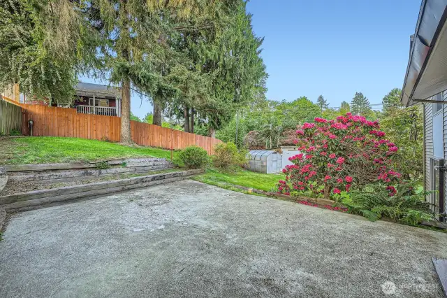 Large open patio off kitchen sliding glass door. Can see greenhouse and part of shed in background.
